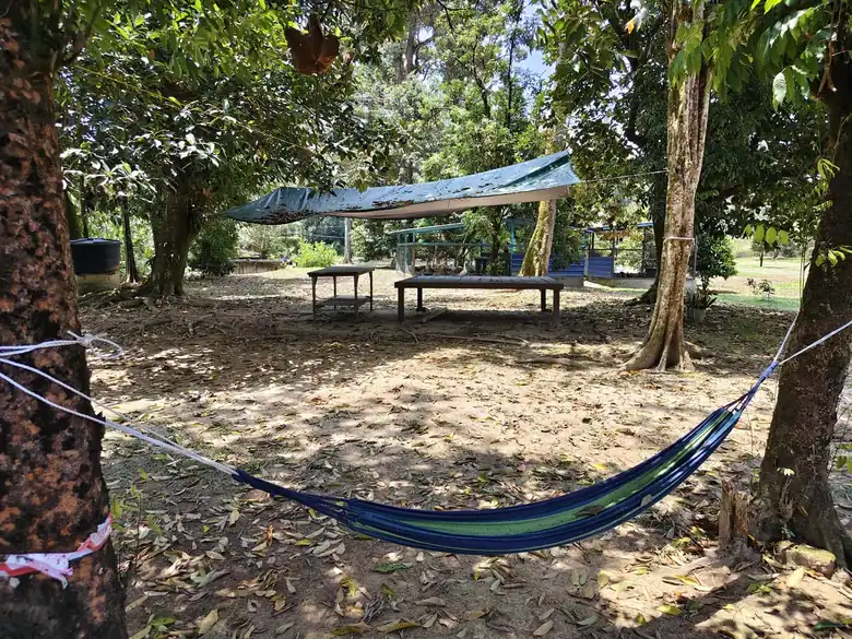 Timber platforms and a hammock under canvas shade between the trees